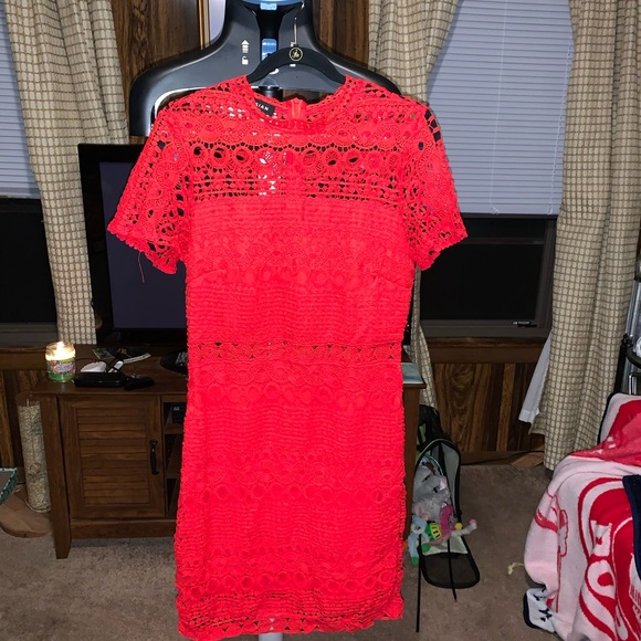 Red laced short sleeve dress - Picture 5 of 6